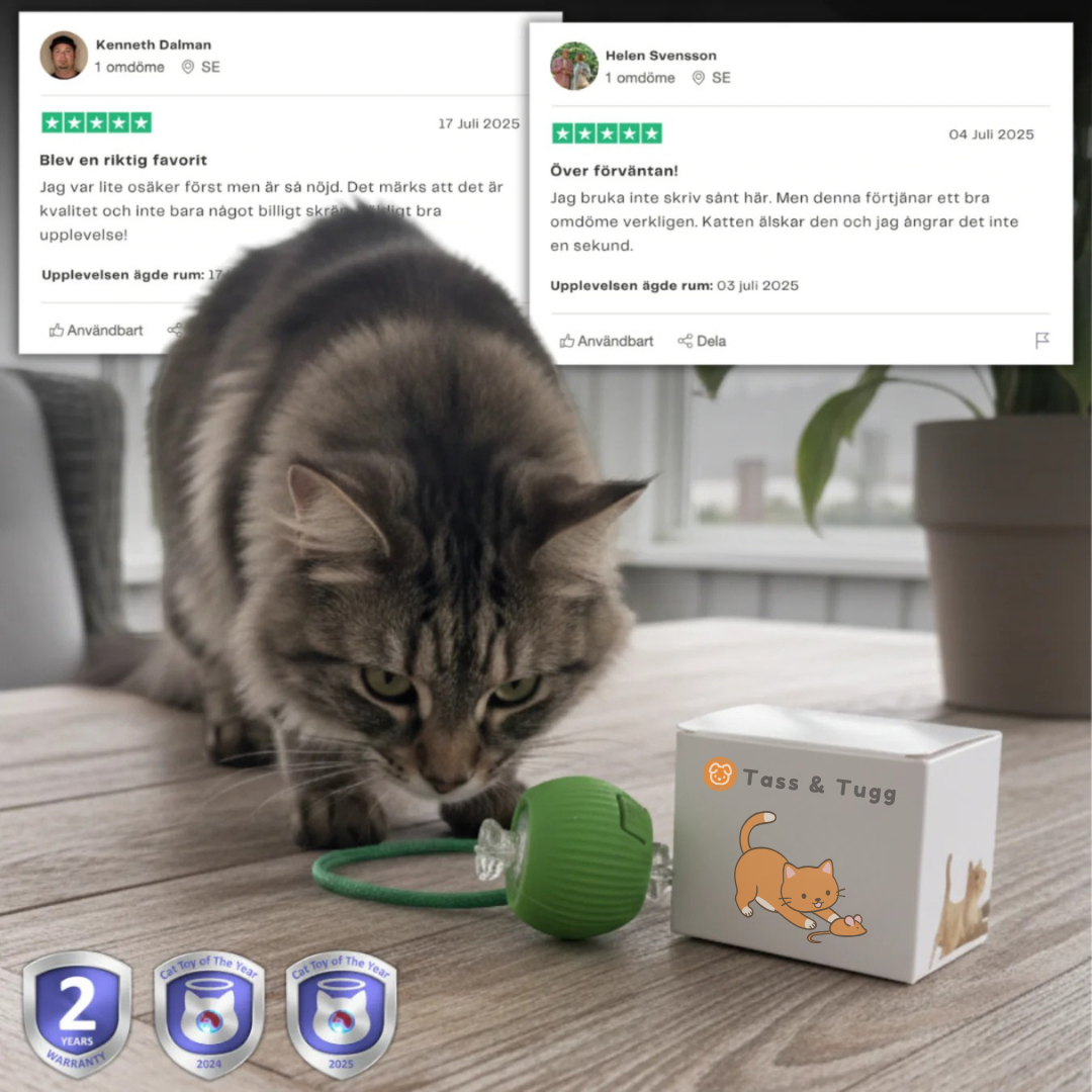 TassJakt™ – Aktiv lek på kattens vilkår