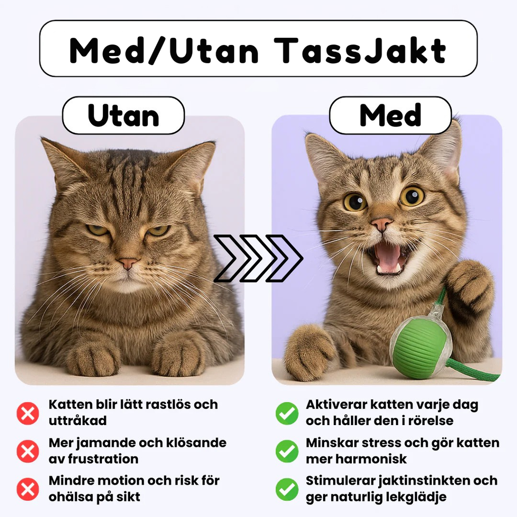 TassJakt™ – Aktiv lek på kattens vilkår
