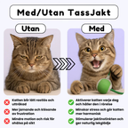 TassJakt™ – Aktiv lek på kattens vilkår