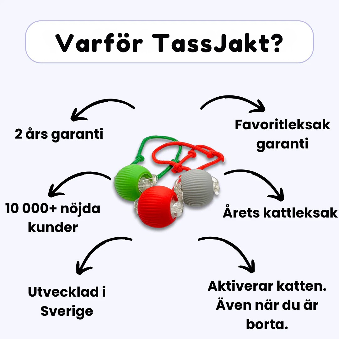 TassJakt™ – Aktiv lek på kattens vilkår