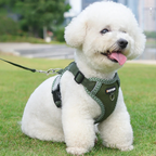 Duomm® Hundesele