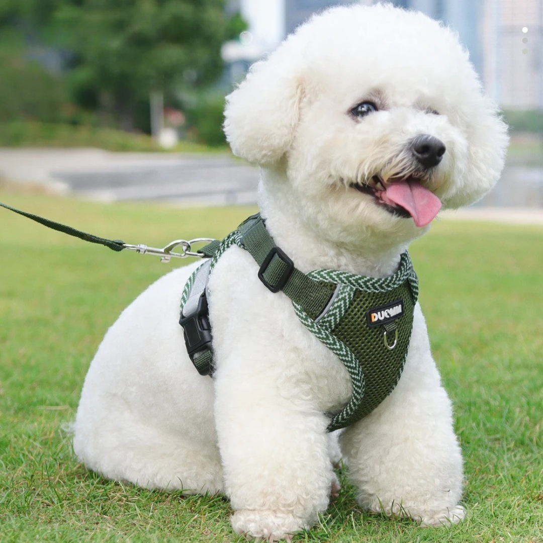 Duomm® Hundesele