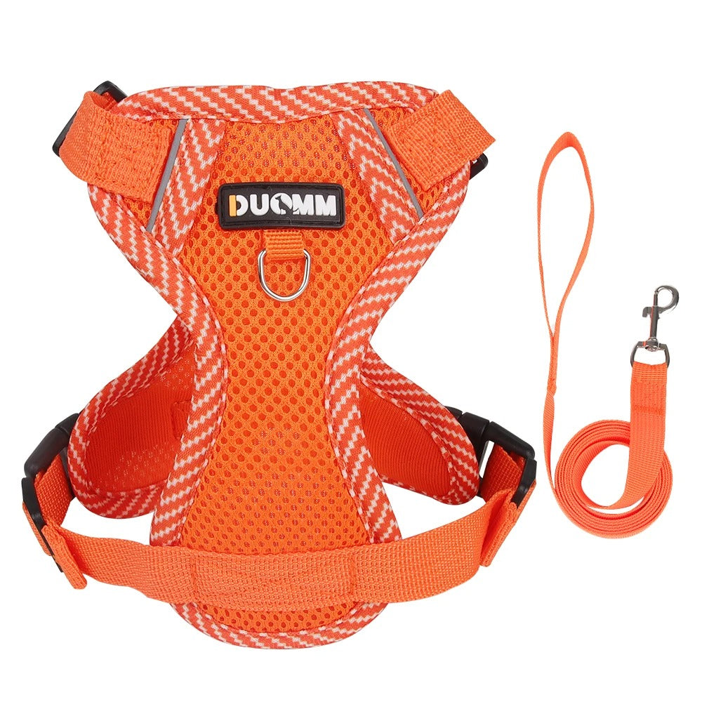 Duomm® Hundesele